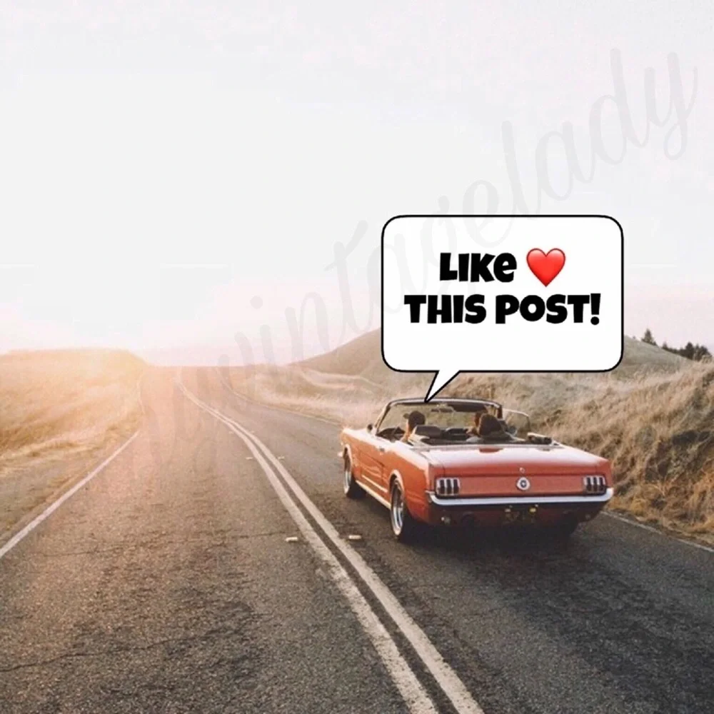 Follow Game - Picture 2 of 6